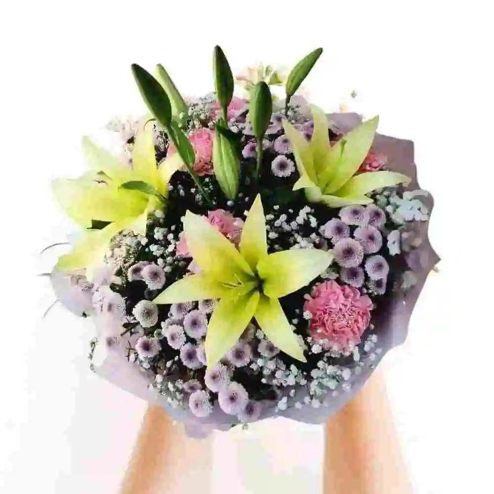 Carnation with Lily Bouquet Online